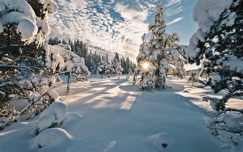 Download Wallpapers Norway Rays Of Sun Winter Snowdrifts Beautiful
