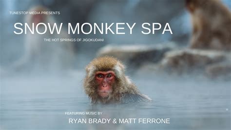 Snow Monkey Spa The Hot Springs Of Jigokudani Youtube