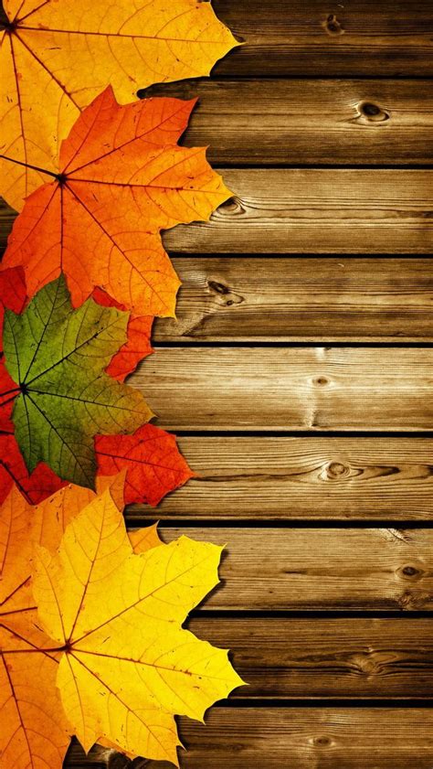 Free Download Beautiful Autumn Wallpapers18 Fall Wallpaper Cellphone