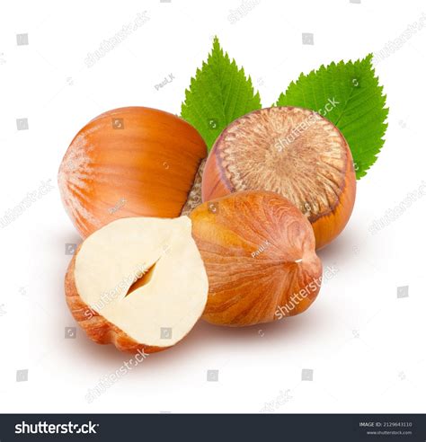 Two Whole Cut Peeled Hazelnuts Leaves Stock Photo Shutterstock