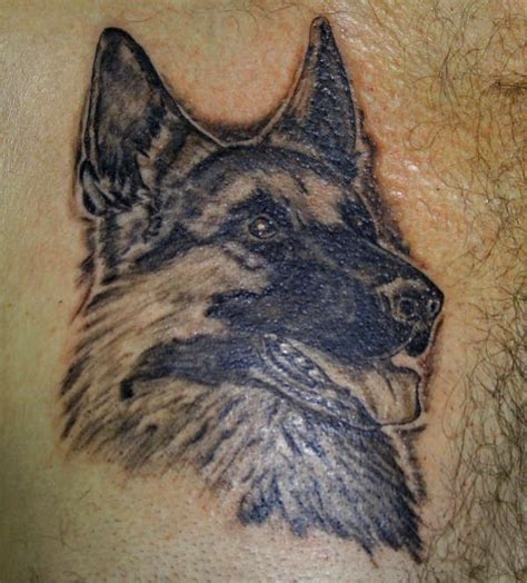 German Shepherd Ink Portrait Tattoo Tattooimagesbiz
