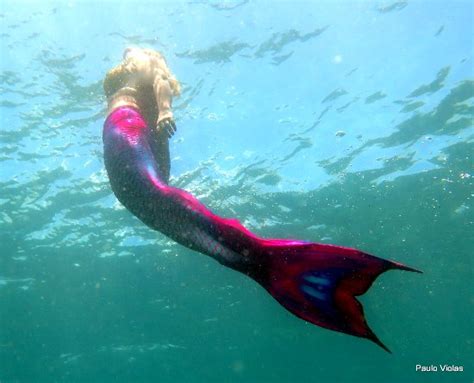 Philippine Mermaid Swimming Academy Boracay Philippines Top Tips Before You Go Tripadvisor