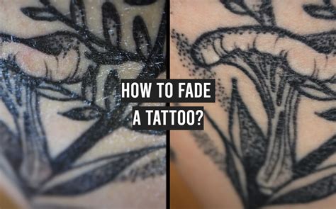 How To Fade A Tattoo Tattooprofy
