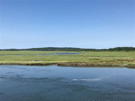 Scarborough Marsh Audubon Center 2019 All You Need To Know Before You