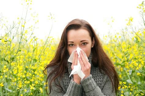 All You Need To Know About Spring Allergies
