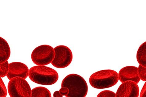 Human Blood Cells Stock Photos Royalty Free Human Blood Cells Images