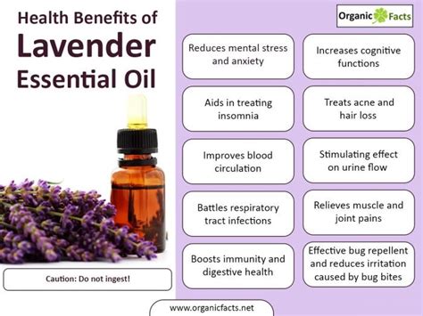 An Infographic On Health Benefits Of Lavender Essential Oil In 2020