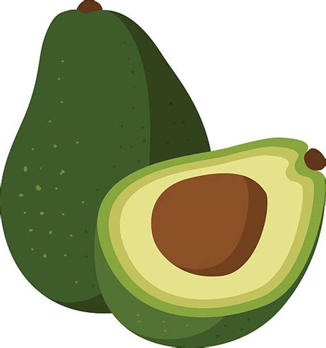 Avocado Clip Art Vector Images And Illustrations Istock