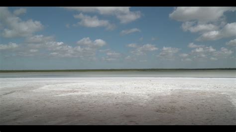 South Texas Oasis Made Up Of Salt Sparkles Among Wildlife