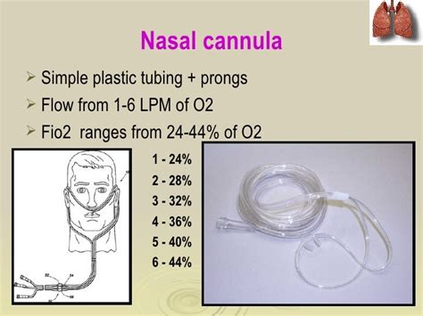 Nasal Cannula Placement Applying Nasal Cannulavob Youtube It Can