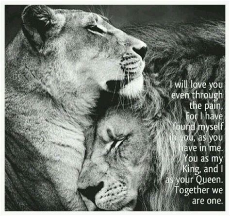 These are the best examples of lioness quotes on poetrysoup. Pin on Roxie, the lion hearted girl