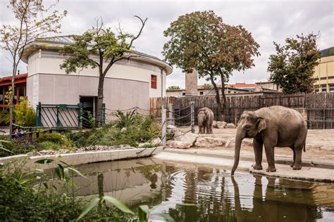 Budapest Zoo Celebrates World Animal Day With Amazing Events