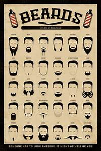 Funny Beards Chart Kraken Posters