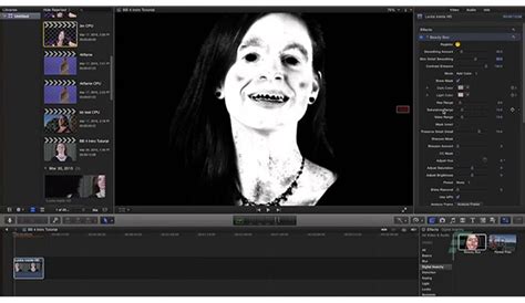 Digital Anarchy Beauty Box Video For Ofx Filecr
