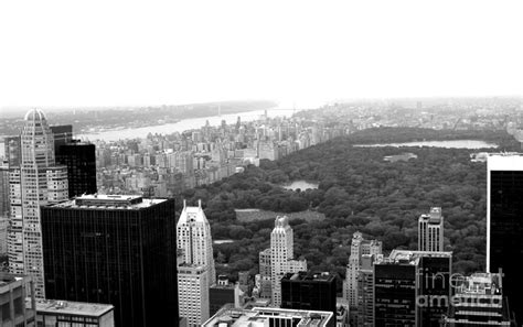 Central Park In Black And White Photograph By Living Color Photography