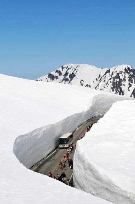 Road Carved Out Of The Snow Tateyama Kurobe Alpine Route