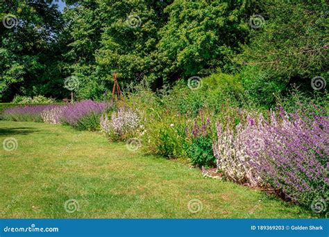 Traditional English Garden In Summer Stock Image Image Of Green