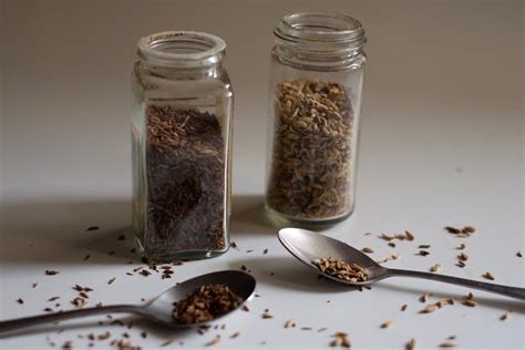 Tüketmek için beni (türkçe rap) jintan mix mastering: Fennel seeds (Jintan manis) & Cumin (Jintan putih) - New ...