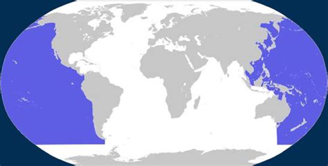 Dónde Está El Océano Pacifico Océano Pacífico