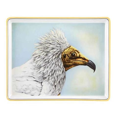Turkey vulture egyptian vulture griffon vulture, eagle, animals, king, bird png. Voo Egyptian Vulture Tray, 9" by Vista Alegre in 2020 ...