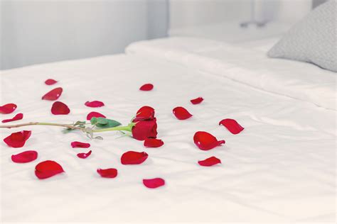 Red Rose Place On A Clean White Bed And A Red Rose Petals Strewn