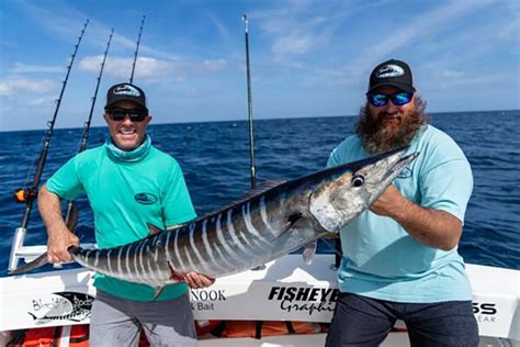 Wahoo Fishing And Epic Catches Blackfin Rods