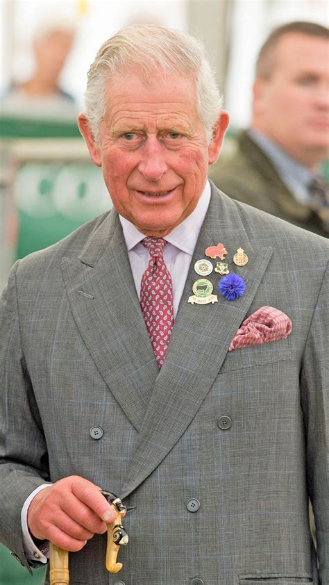 5 Bombshell Claims About Prince Charles In Rebel Prince E News