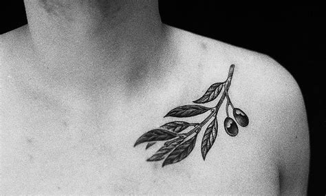 Tatuajes De La Rama De Olivo Y Su Significado Tatuaje De Oliver Queen