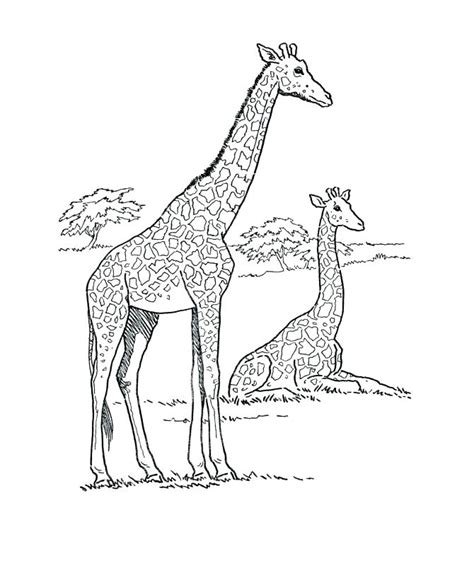 Savanna Coloring Page Coloring Pages