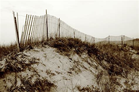 Horseneck Beach Sand Dunes Photograph By Light Amusement Fine Art America