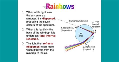 Contoh Explanation Text About Rainbow Dan Terjemahannya