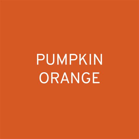 Colour In Context Pumpkin Orange Alina Schartner