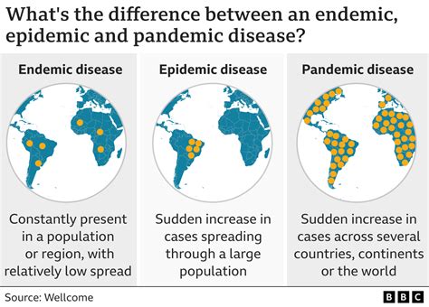 Endemic Covid Is The Pandemic Entering Its Endgame Bbc News