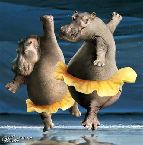 Funny Animals Dancing New Pictures 2012 Pets Cute And Docile