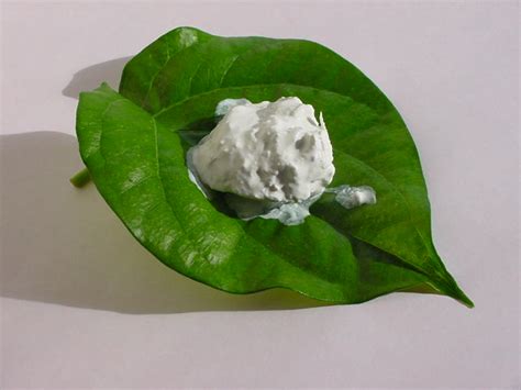 10 cara mudah bikin ketiak yang hitam jadi lebih cerah dan glowing. 3 Cara Menghilangkan Ketiak Hitam, Guna Petua Tradisional