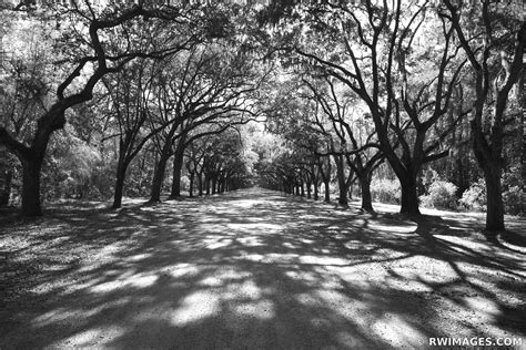 Framed Photo Print of SAVANNAH GEORGIA BLACK AND WHITE Print Picture