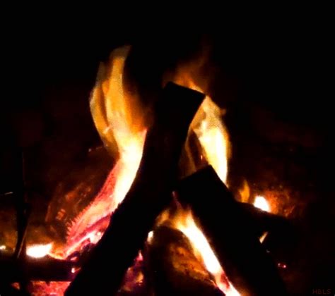 Camp Fire Gifs Find Share On Giphy