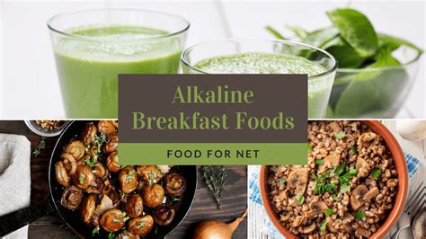 These alkaline diet lunch and dinner recipes will make up a large portion of your everyday diet. 16 Alkaline Breakfast Foods So That Your Day Starts Well | Food For Net