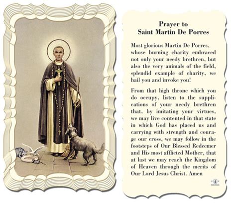 Healing St Francis Prayer For Pets 9 Inspiring Quotes From St Francis