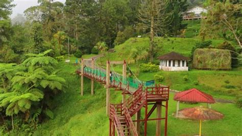 Bukit larut is about 1250 meters above sea level and is located at the wettest part of the country. Bukit Larut - Share My Hikes | Hikers For Life