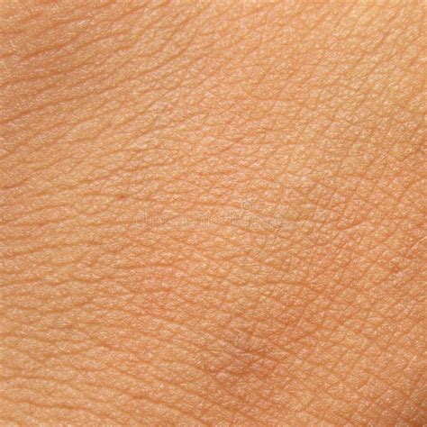 Human Skin Texture Stock Photo Image Of Dark Close