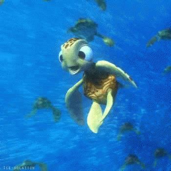 Finding Nemo Squirt GIFs Tenor