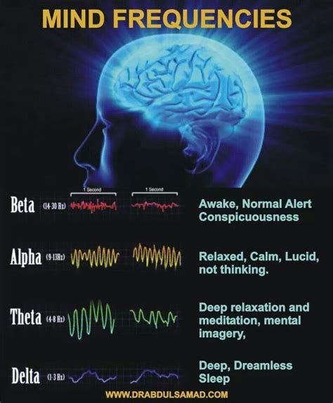 Mind Frequencies Quantum Physics Spirituality Brain Waves Brain Facts
