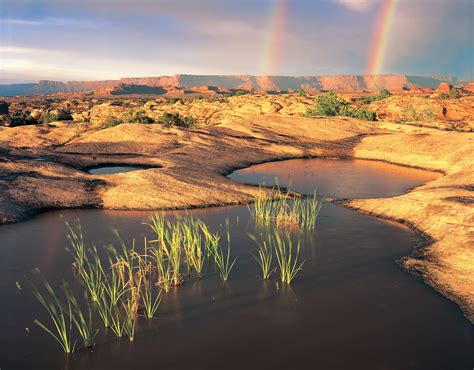 Americans Value National Parks, but Funding Is Lacking | National News | US News