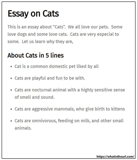 essay on cats