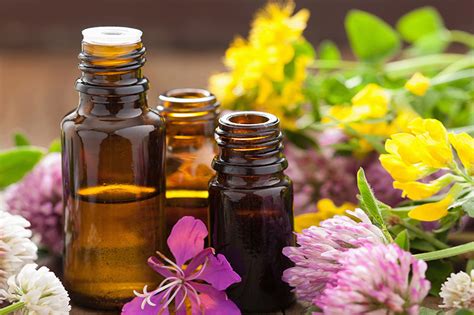 Aromatherapy—why Every Individual Needs It Today Lmg For Health