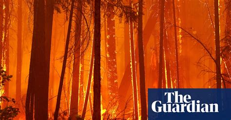 Is Climate Change Way Worse Than We Realise Podcast News The