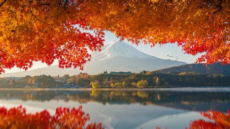 Mount Fuji 1920x1080 Wallpaper