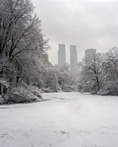 Central Park New York City Snow Storm Stock Photo Image Of York