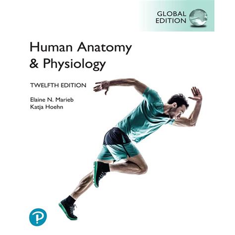 Human Anatomy And Physiology 12th Global Edition Elaine N Marieb